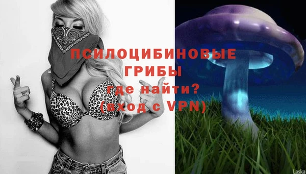 apvp Покровск
