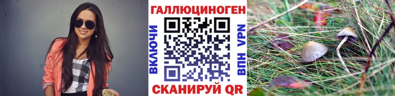Псилоцибиновые грибы ЛСД  даркнет сайт  Сычёвка 
